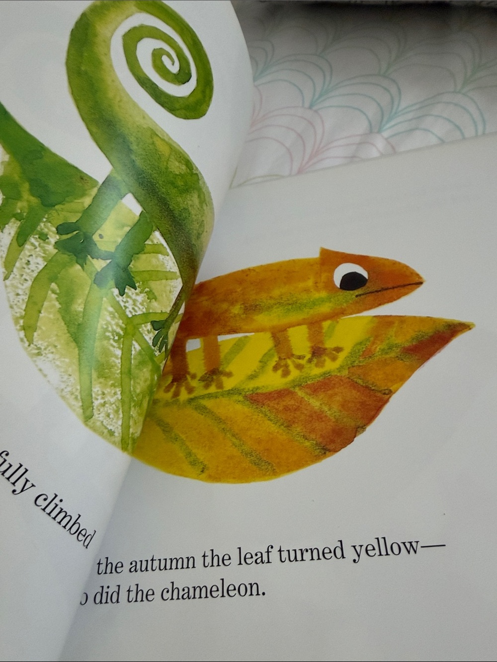 Kohl's Multicolor Chameleon Children's Picture Book - Picture 4 of 6